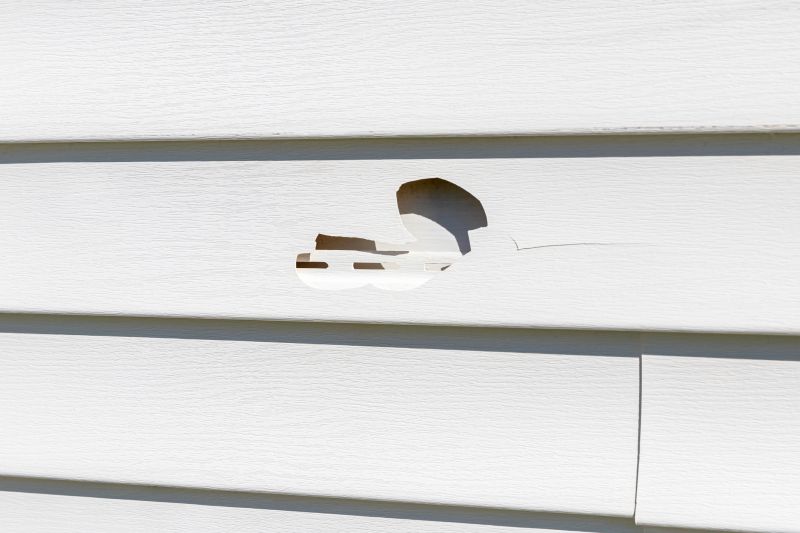 Vinyl Siding Repair Site
