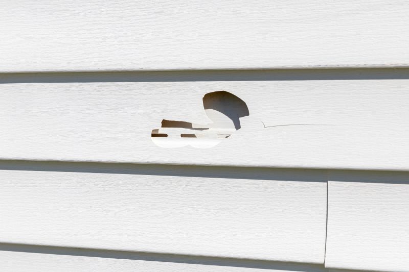 Patch and Restore Vinyl Siding