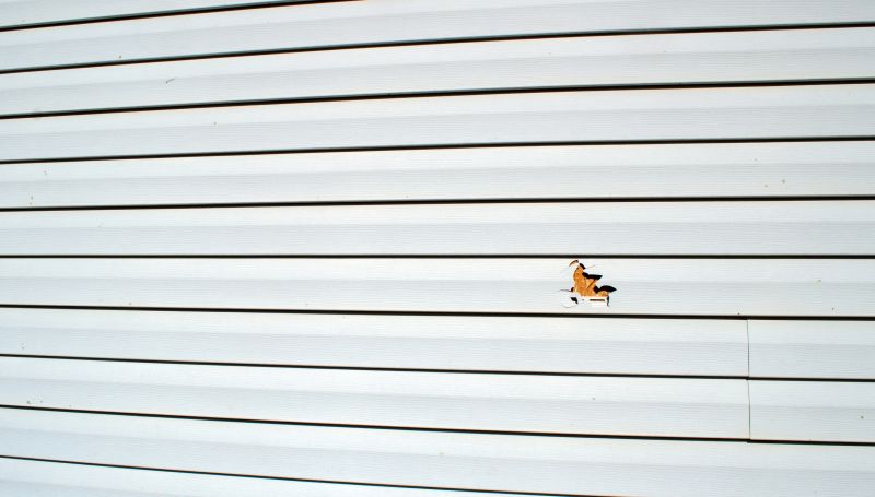 Post-Installation Care